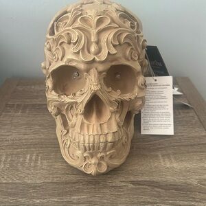 Martha Stewart Terracotta Skull Light Up Eyes Halloween 👻 💀 NEW